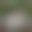 BlurHash